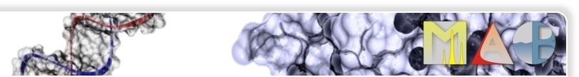 MAB - Biomolecular Separation Engineering